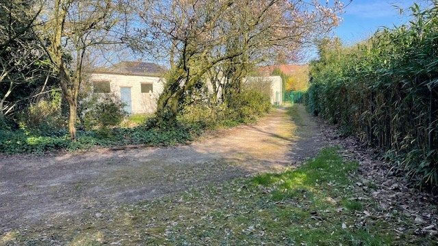 Prachtig verscholen domein met ZW oriëntatie met kleine  bungalowwoning  in Grobbendonk, op een perceel van 1530 m², foto 5