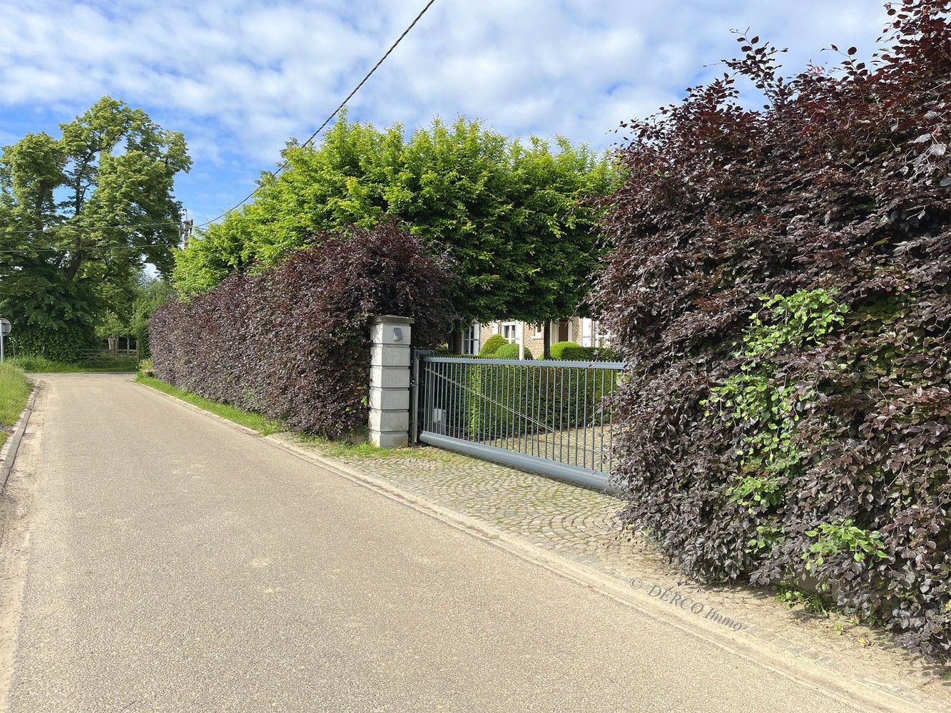 zeer rustige ligging vlakbij MEERDAALWOUD foto 1