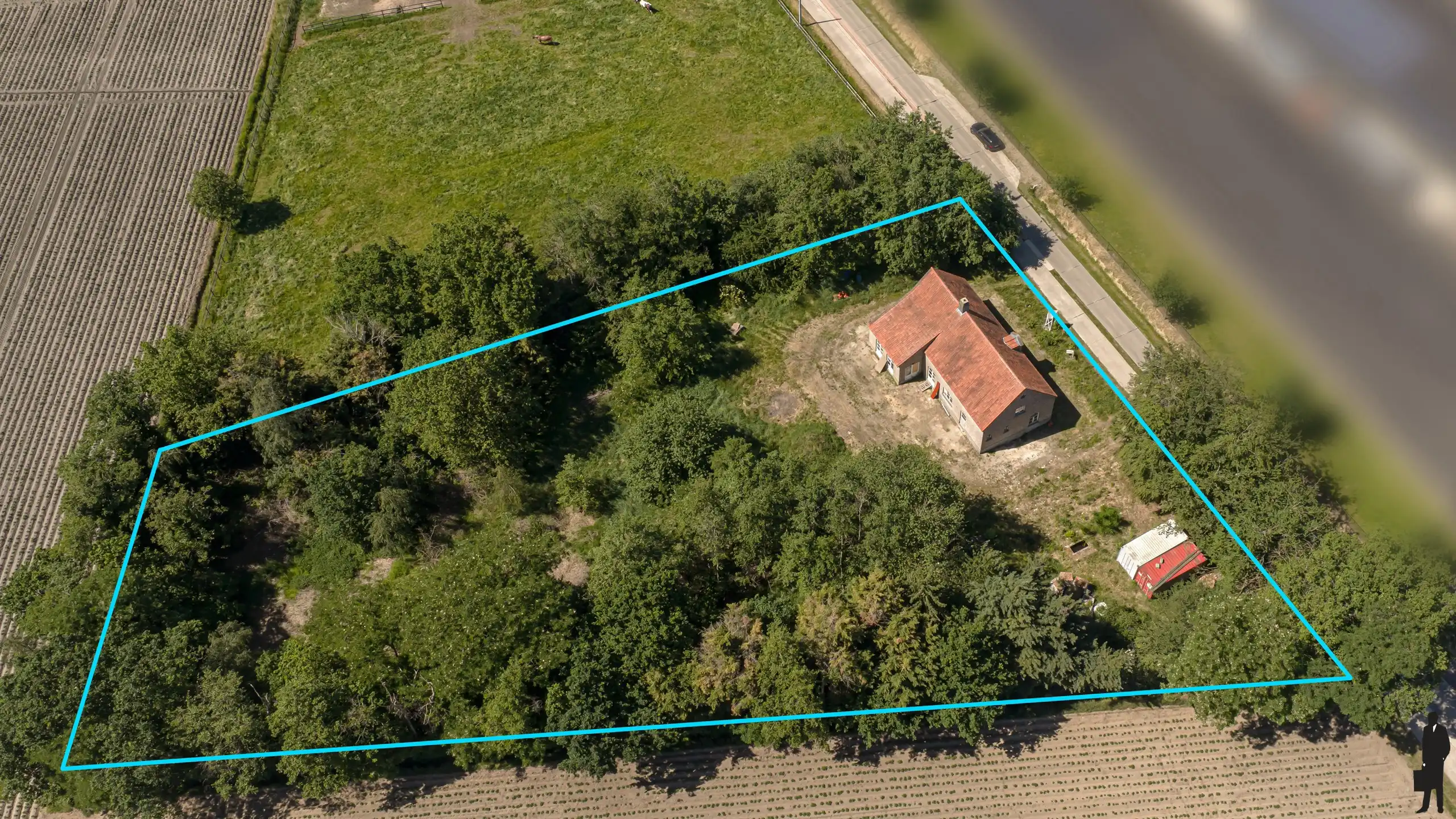 Authentieke hoeve in renovatie op een uitzonderlijk ruim perceel, rustig en landelijk gelegen met een uitstekende zuidelijke oriëntatie. foto 25