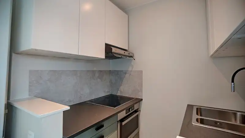volledig gerenoveerd éénslaapkamerappartement foto 6