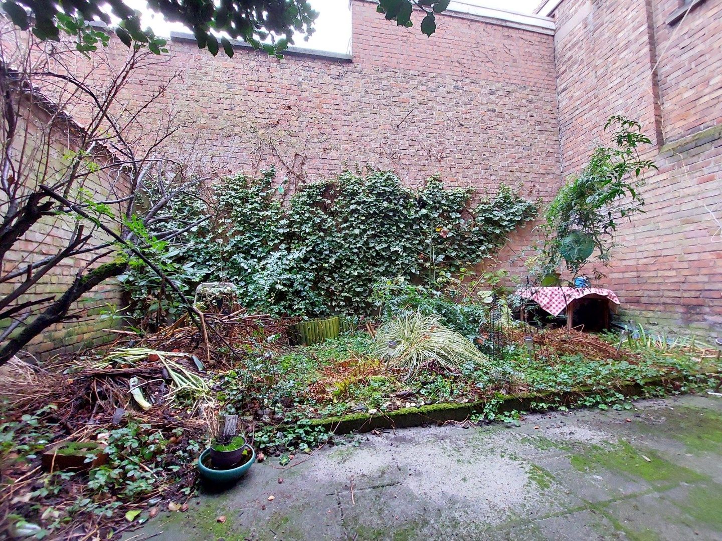 Gelijkvloersappartement met tuintje foto 2