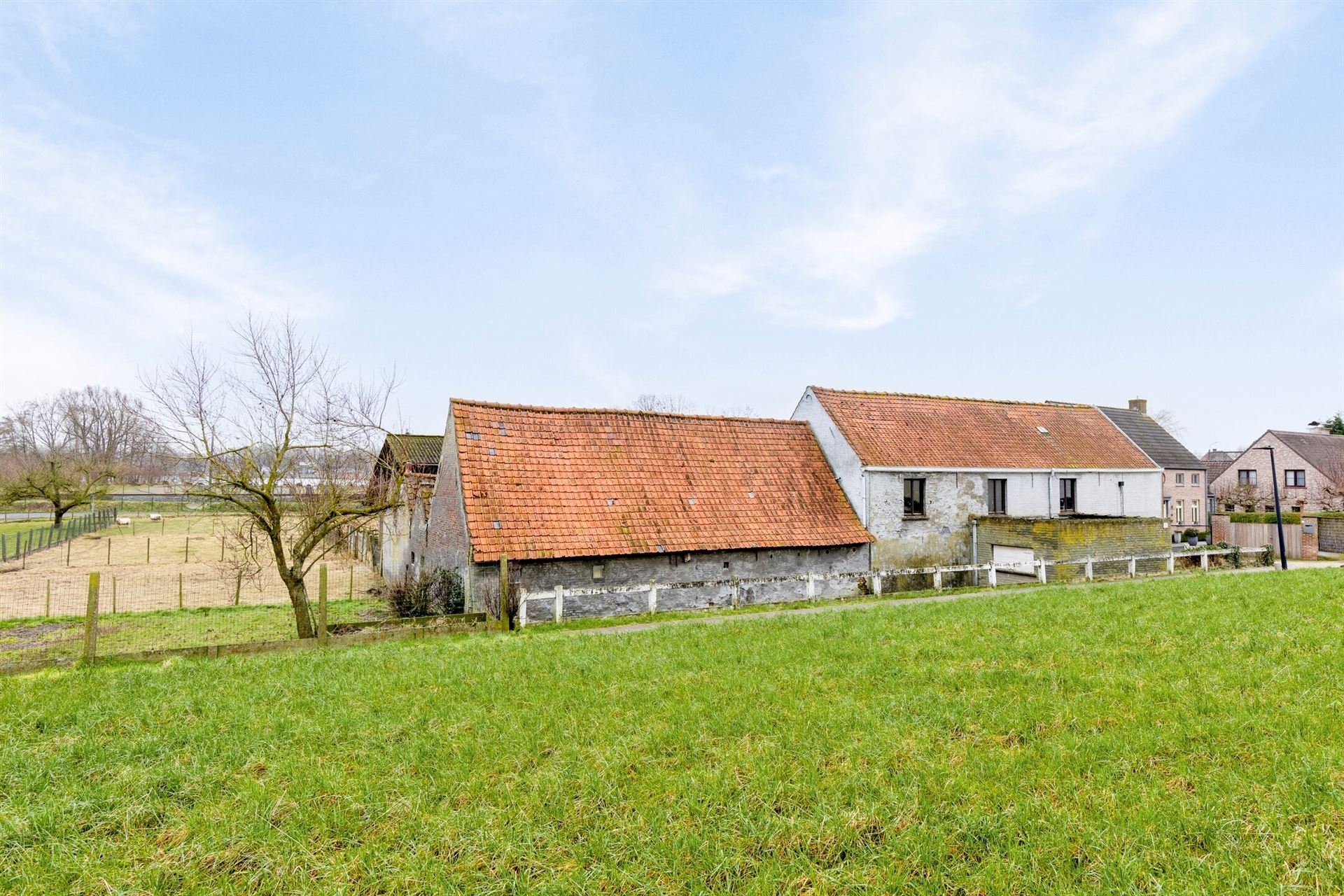 Boerderij met loods en enkele stallingen foto 7