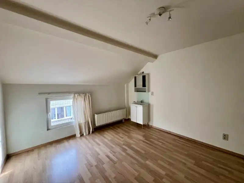 RIJWONING MET DRIE SLAAPKAMERS EN GEPLAVEIDE KOER foto 12