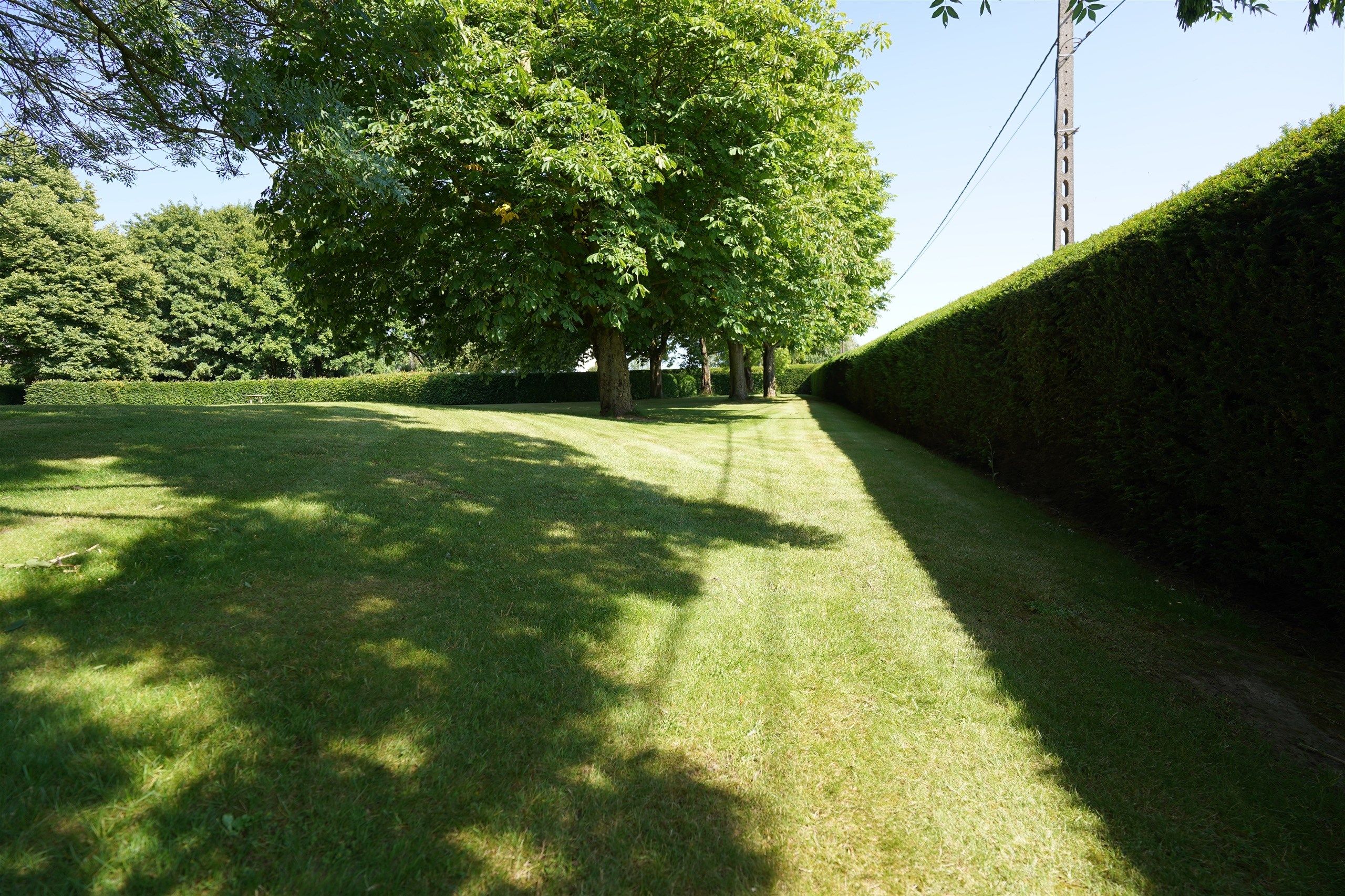 Bellegem bos: uitzonderlijk, waardevol landgoed! foto 8