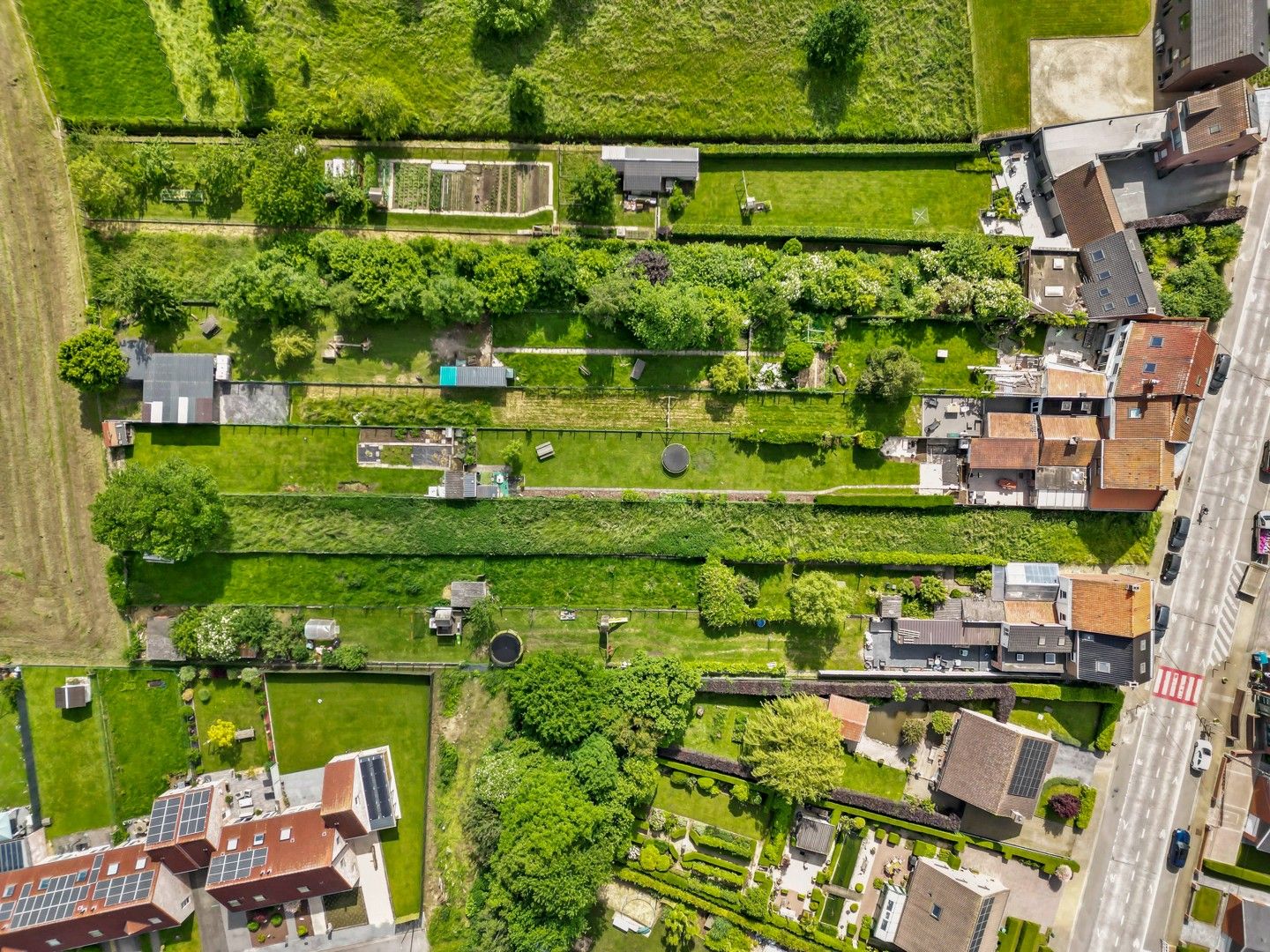 Bouwgrond te Amougies met zicht op de Kluisberg / Terrain à bâtir à Amougies avec vue sur le Mont de l’Enclus foto 4