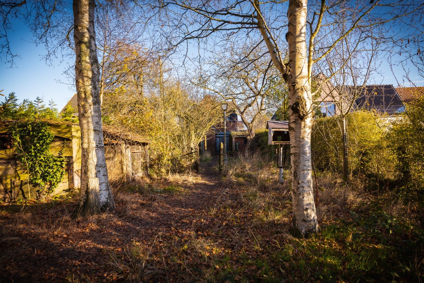 Grondig te renoveren / herop te bouwen woning te Maldegem foto 6