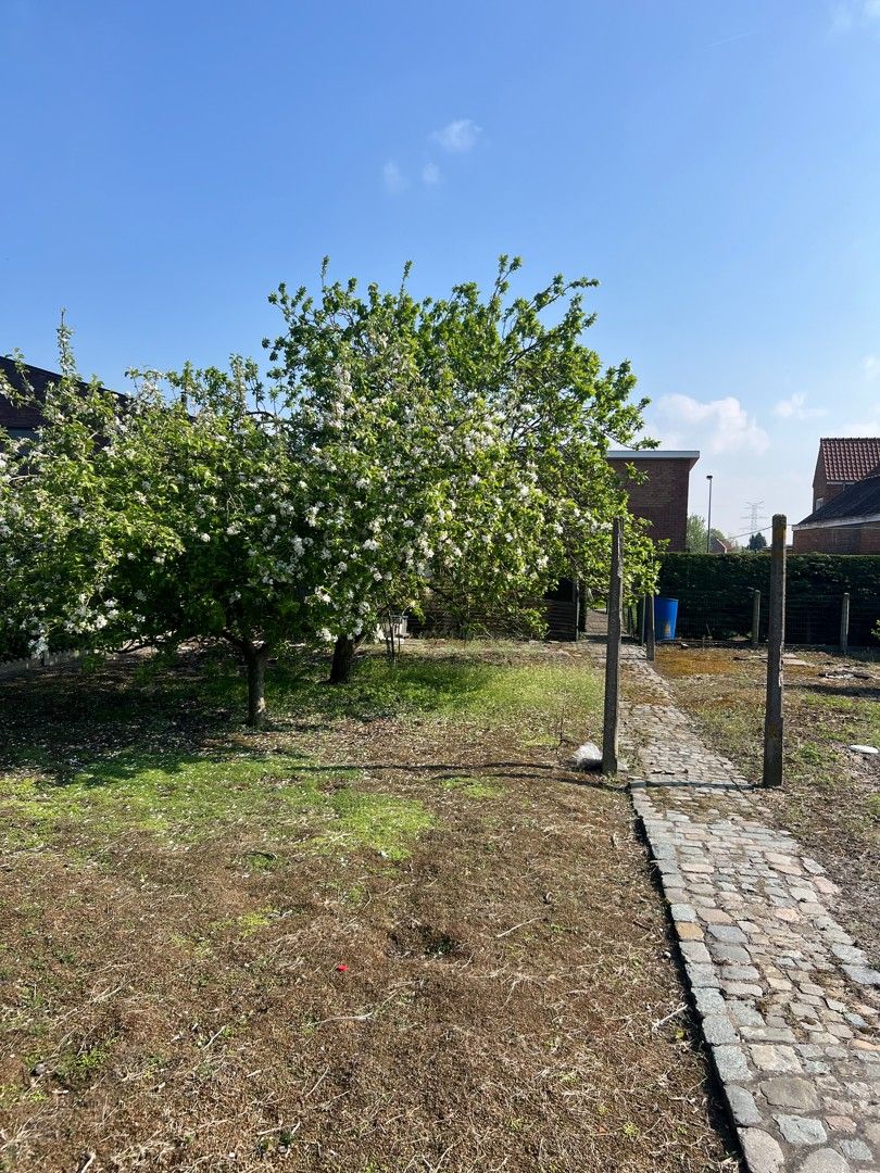 Te renoveren bungalow met landelijk zicht foto 8