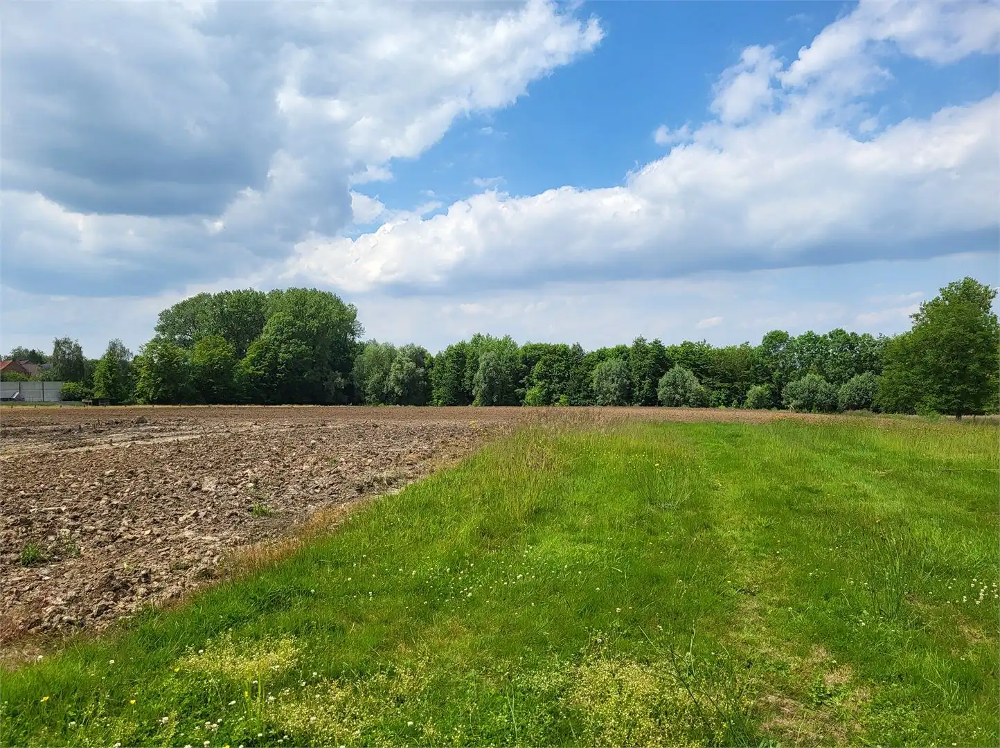 bouwgrond voor halfopen bebouwing op 435 gelegen in het hartje van de Vlaamse Ardennen met panoramisch uitzicht op de velden! foto {{pictureIndex}}