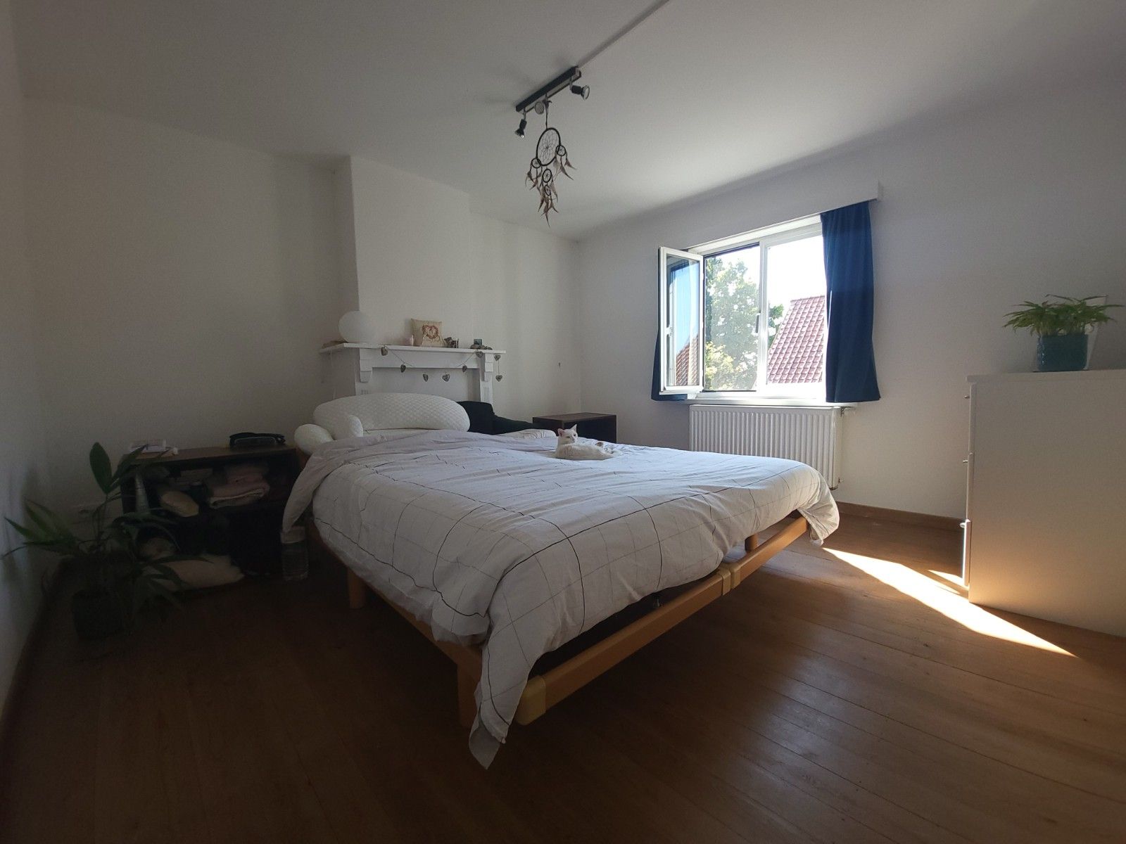 Alleenstaande woning met grote weide en stalling foto 12