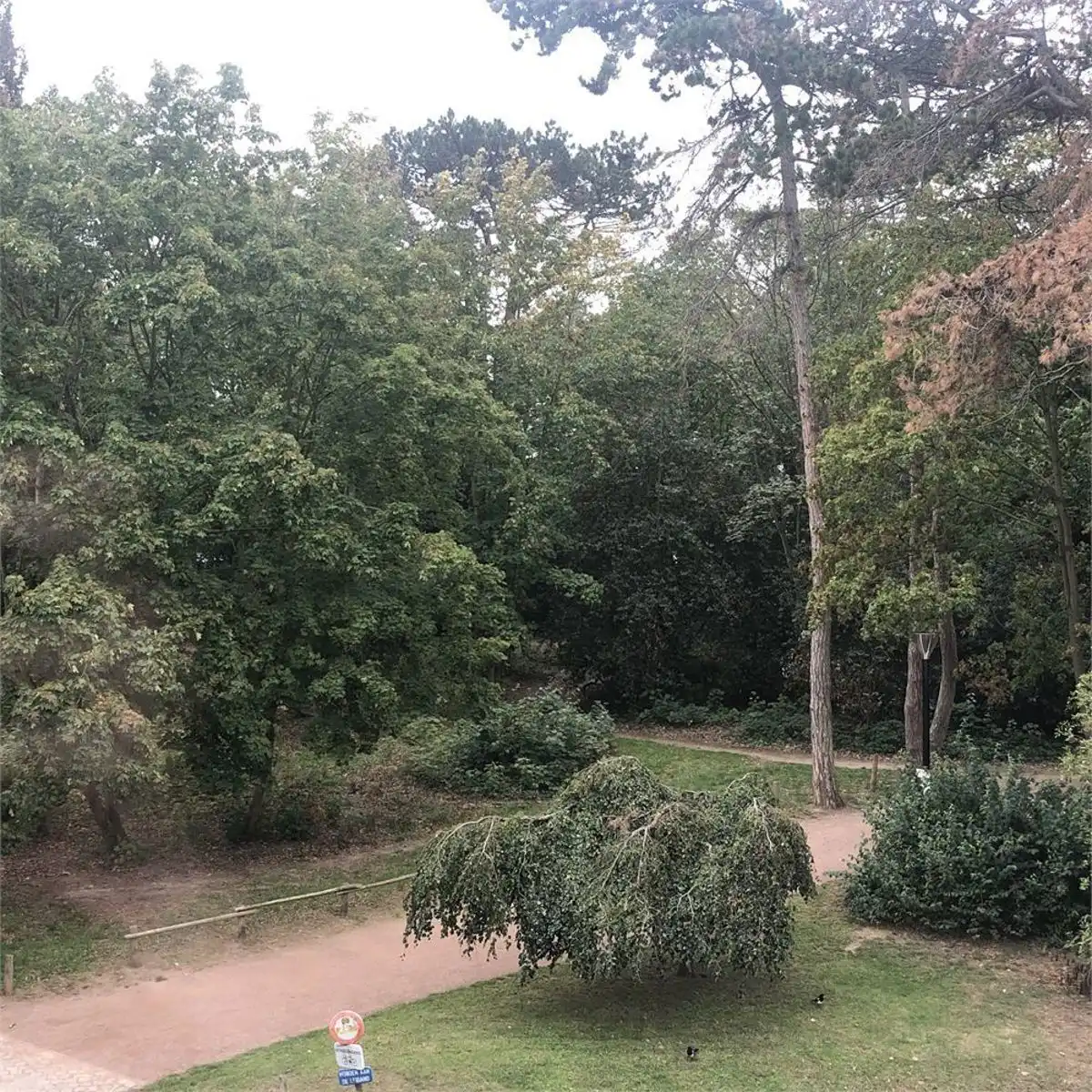 3 slaapkamer appartement te huur in Kessel-Lo foto 24