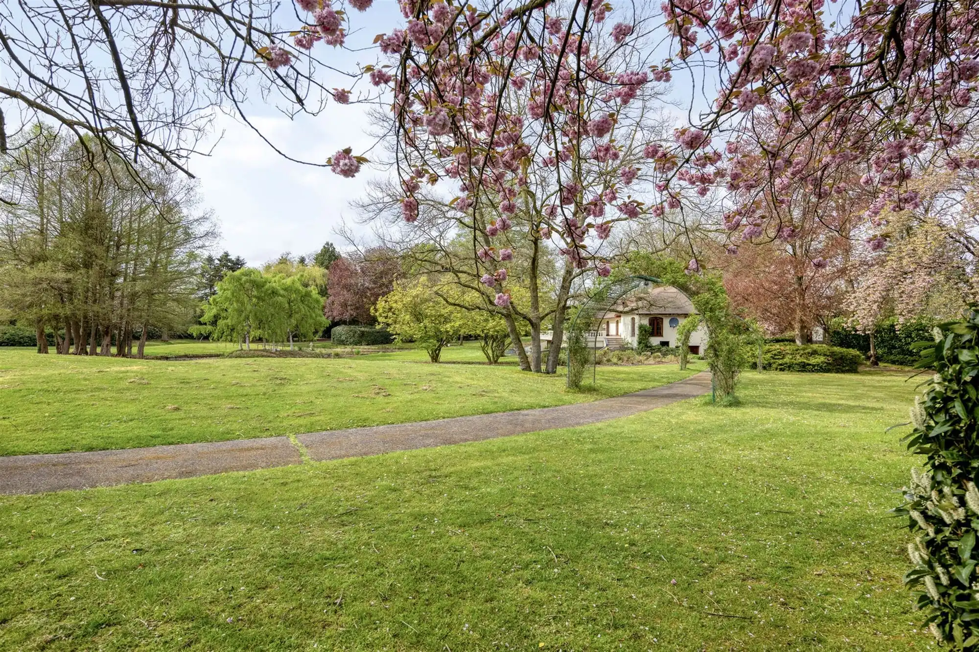 Exclusief landgoed met allure op parkdomein in Pelt foto 92