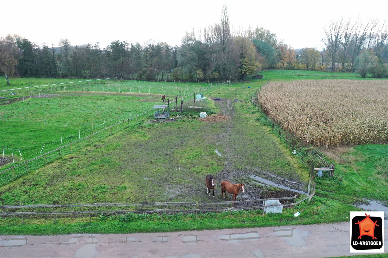 Goed gelegen landbouwgrond foto 5