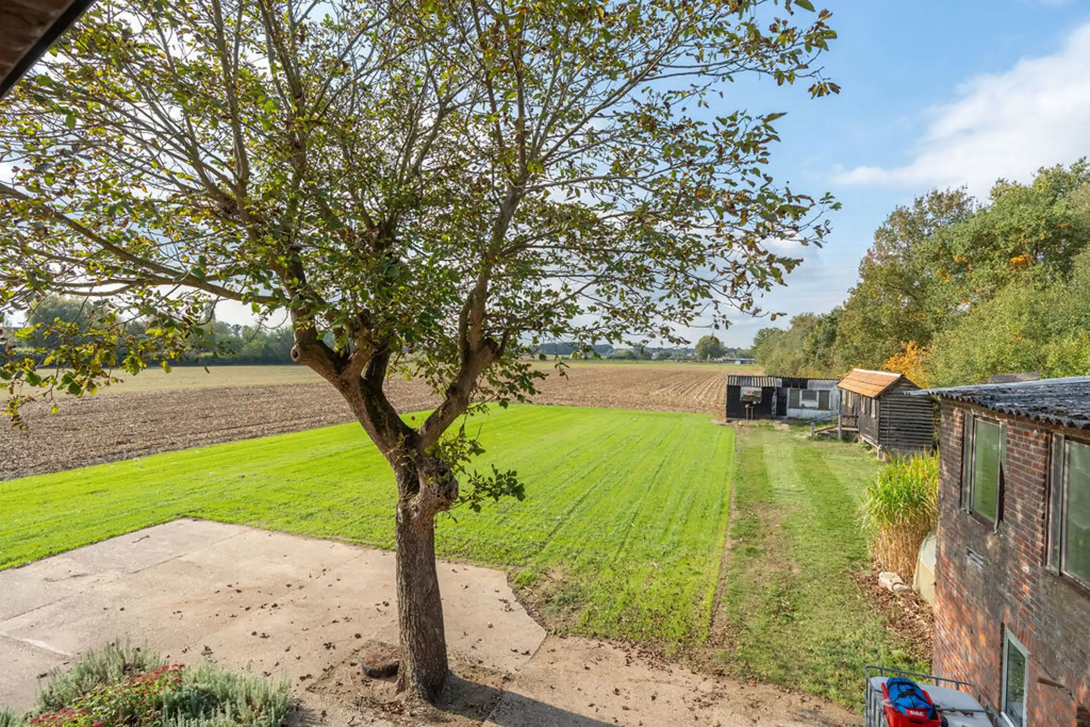 Te renoveren woning op een mooi en gunstig gelegen perceel van in totaal 6.449 m². foto 36