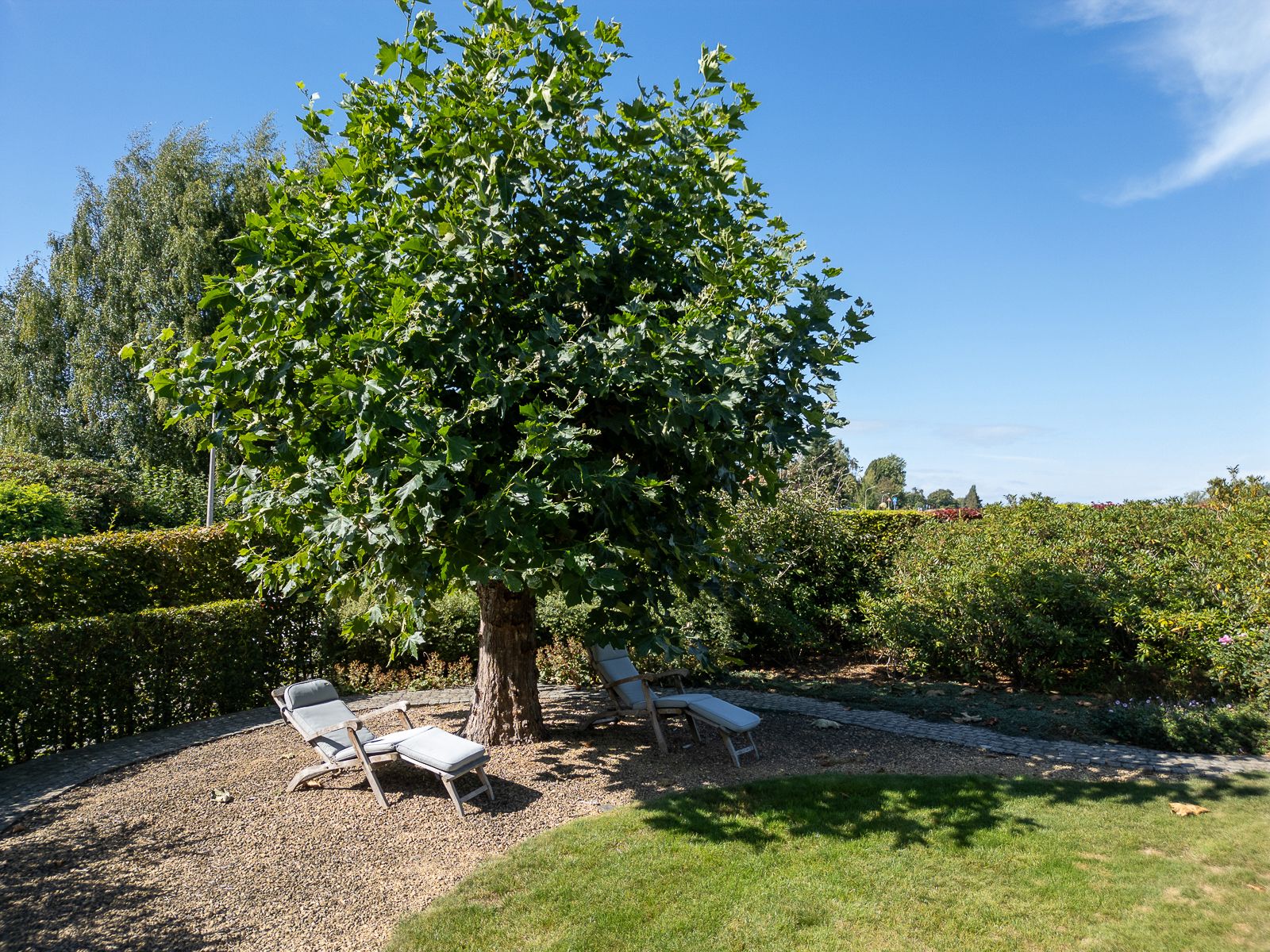 Een warme thuis in het groen foto 26