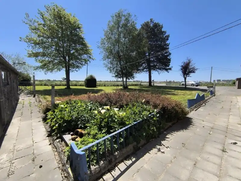 Hoeve met bijgebouwen foto 9