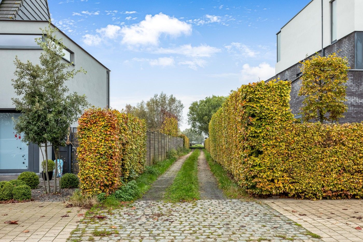 Mooi stuk weiland met 4 paardenstallen van 4570m²  te koop in Hoevenen foto 4