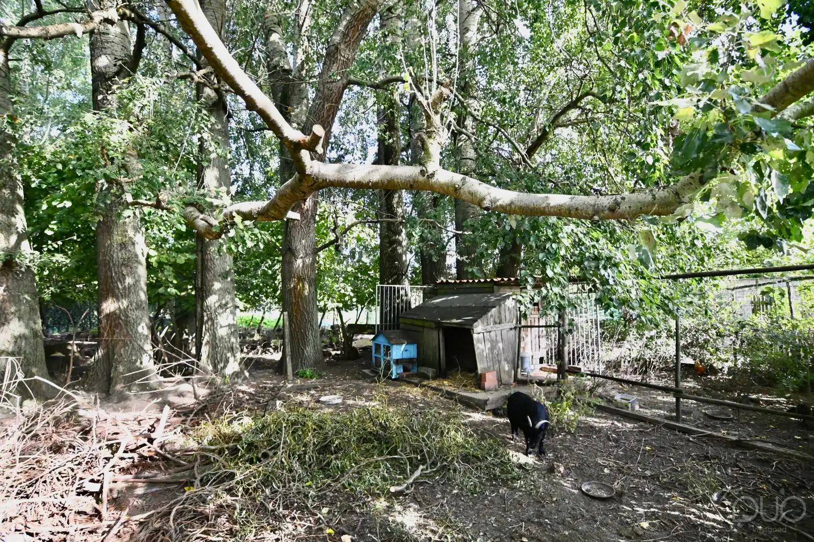 Ruim handelshuis met woonst en grote tuin in het centrum van Zepperen foto 24