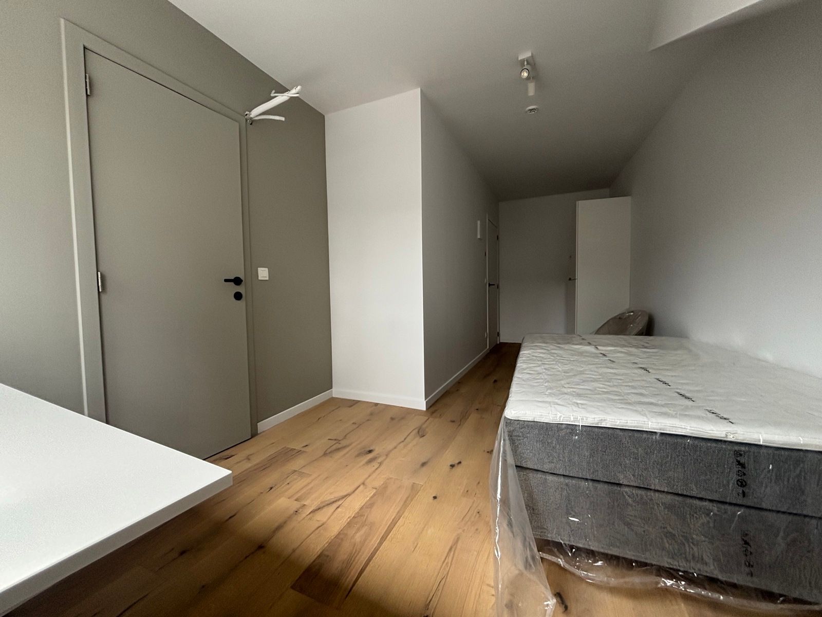 Studeren op een unieke locatie in Residentie de Toewip! foto {{pictureIndex}}