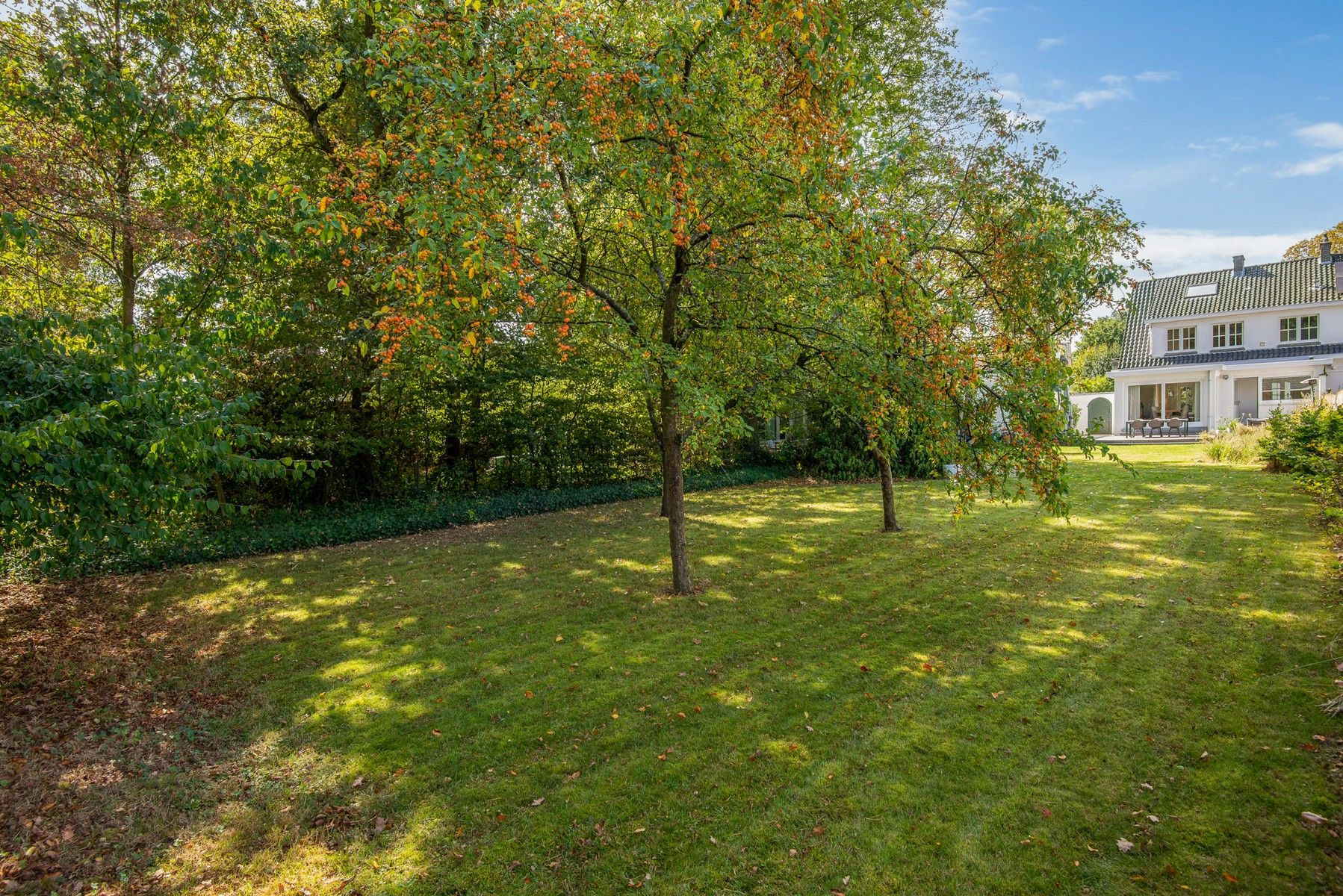 Stijlvol en energiezuinig wonen in Schilde foto 18
