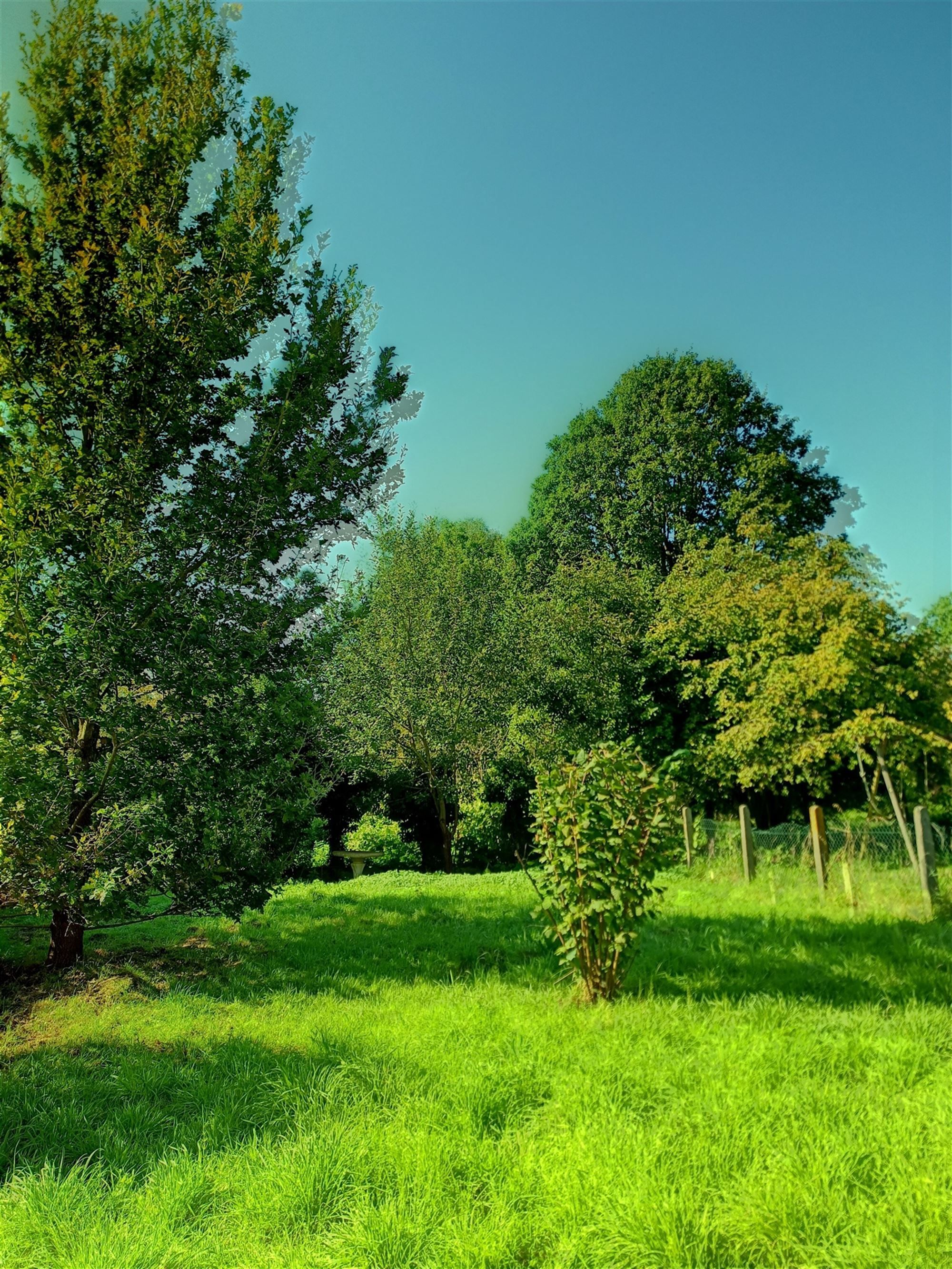 Bouwgrond in Dworp – Groene Jagersstraat foto 3