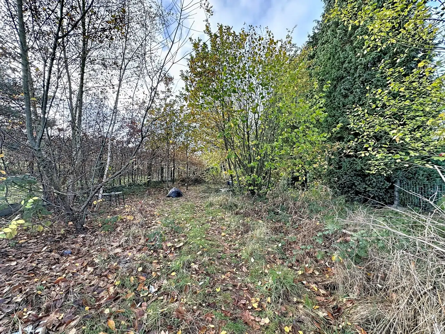 Ruime woning met tuin, terras, garage en 4 slaapkamers te Kessel-Lo! foto 26