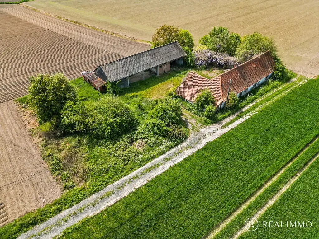 Uniek gelegen fermette met 360° uitzicht in Celles (Molenbaix), met bouwvergunning ! foto 7