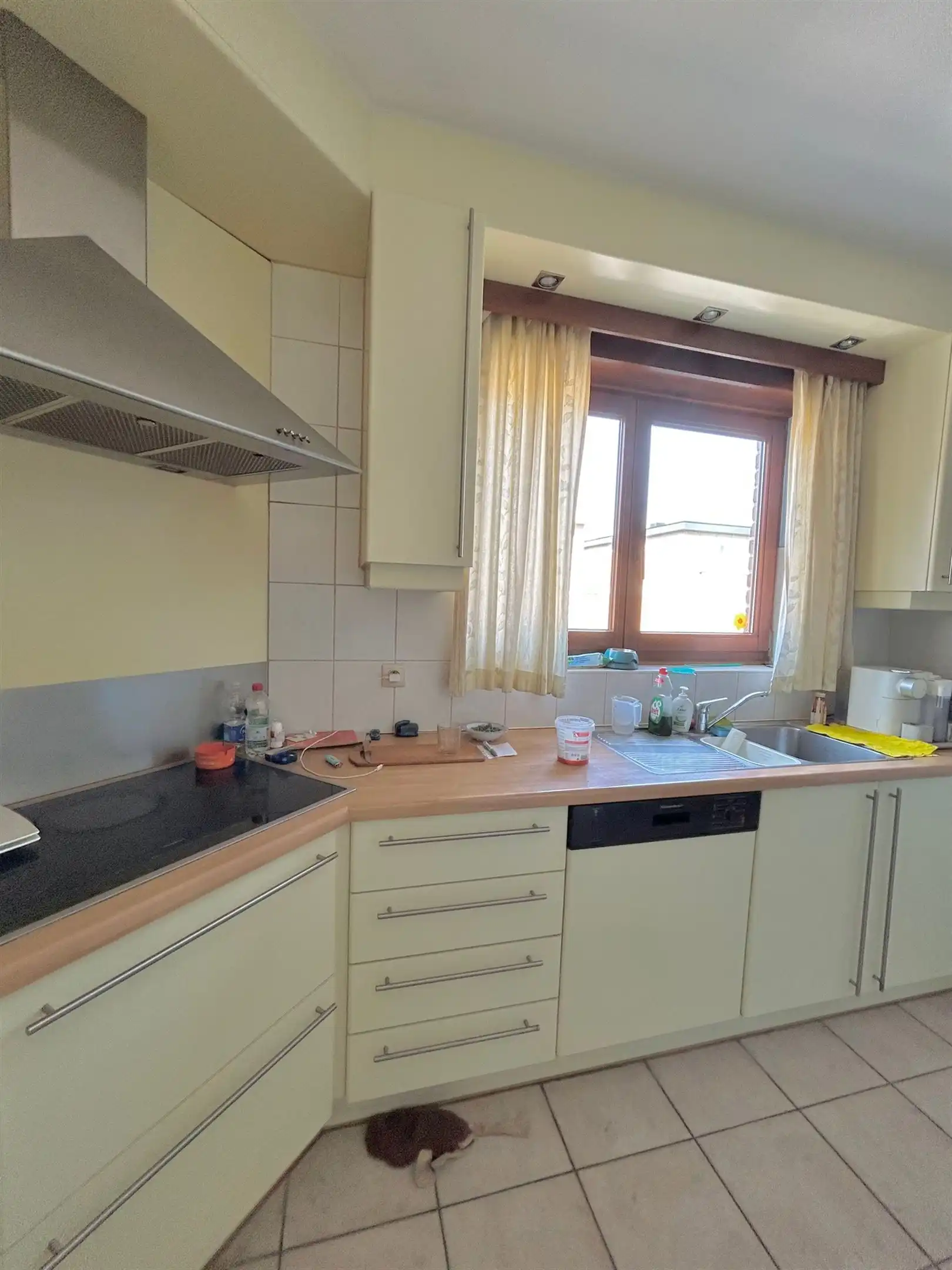 Appartement foto 9