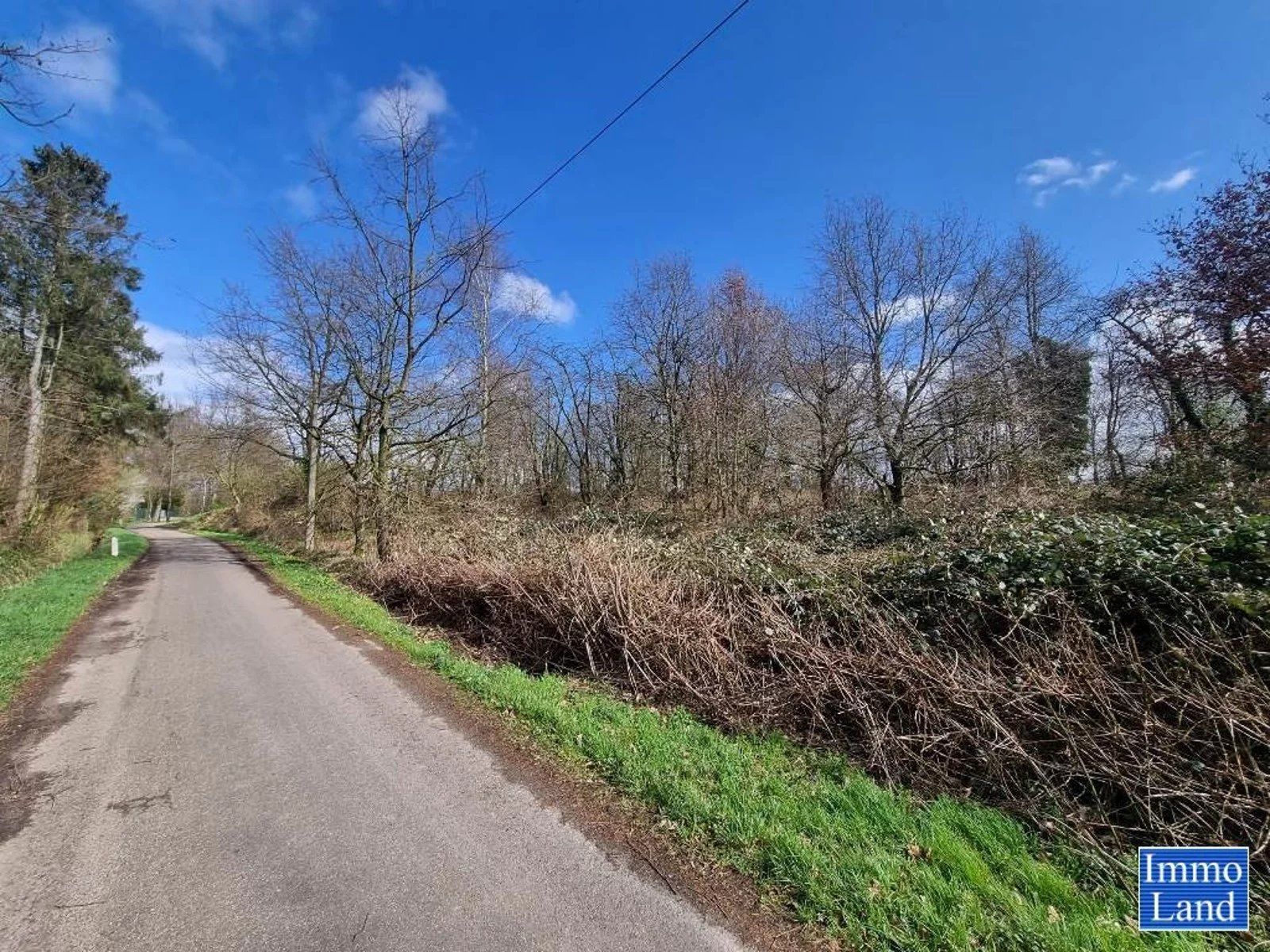 Perceel grond van 75are, gelegen in agrarisch gebied op de grens Hasselt - Diepenbeek, omgeving Mombeekdreef. foto 10