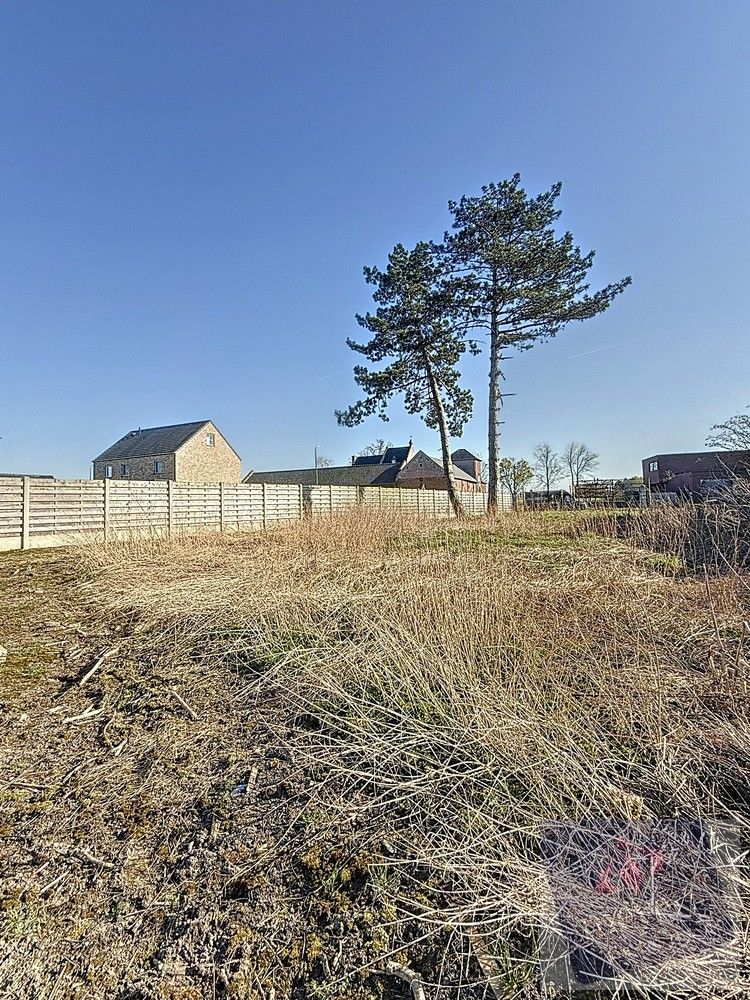 Unieke bouwgrond van 10a04ca te koop in de landelijke Kraaistraat 20, Rummen foto 5