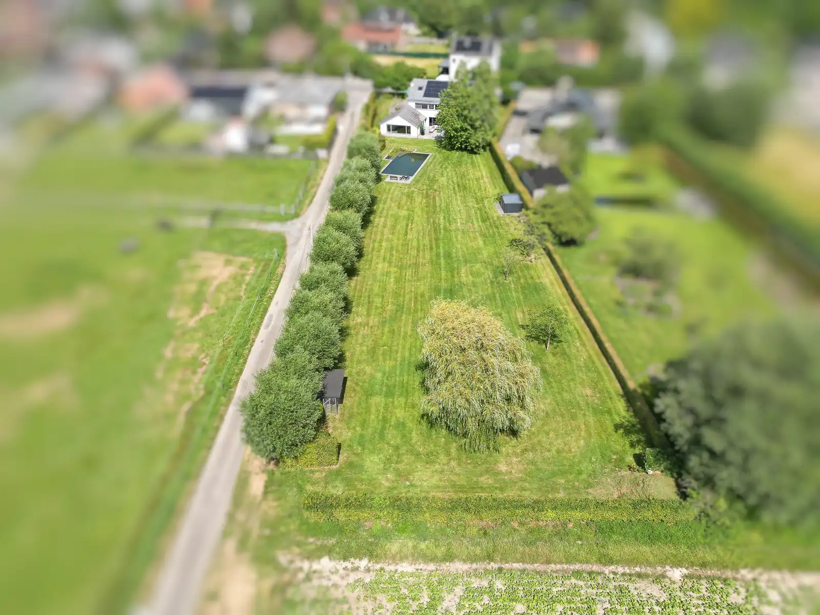 Instapklare villa op fantastisch perceel van 3273m² te Londerzeel foto 5