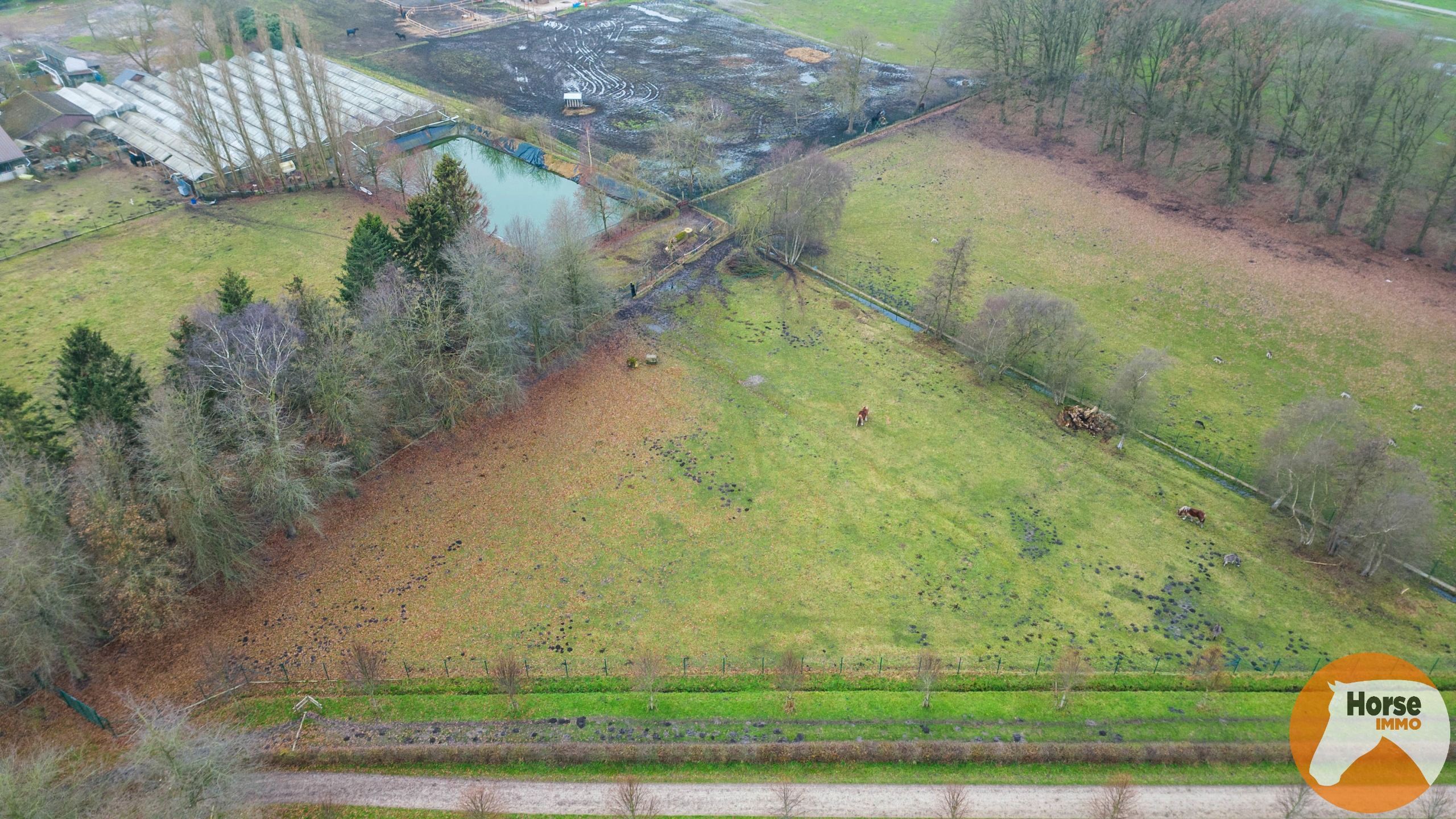 SINT-KATELIJNE-WAVER - Woning met serre en loods op 2,93 ha! foto 26