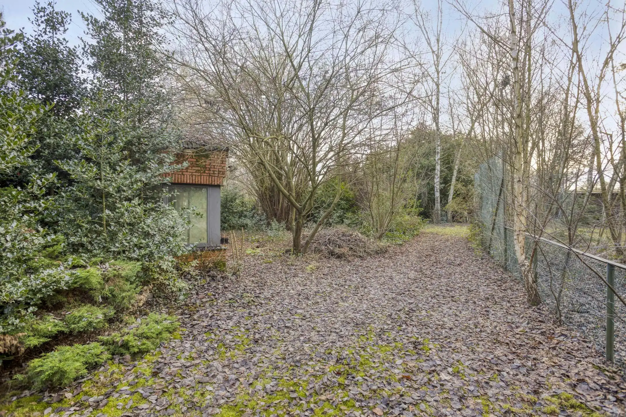 Huis met 5 slaapkamers en landbouwgrond van 3.150m² in Wommelgem! foto 30