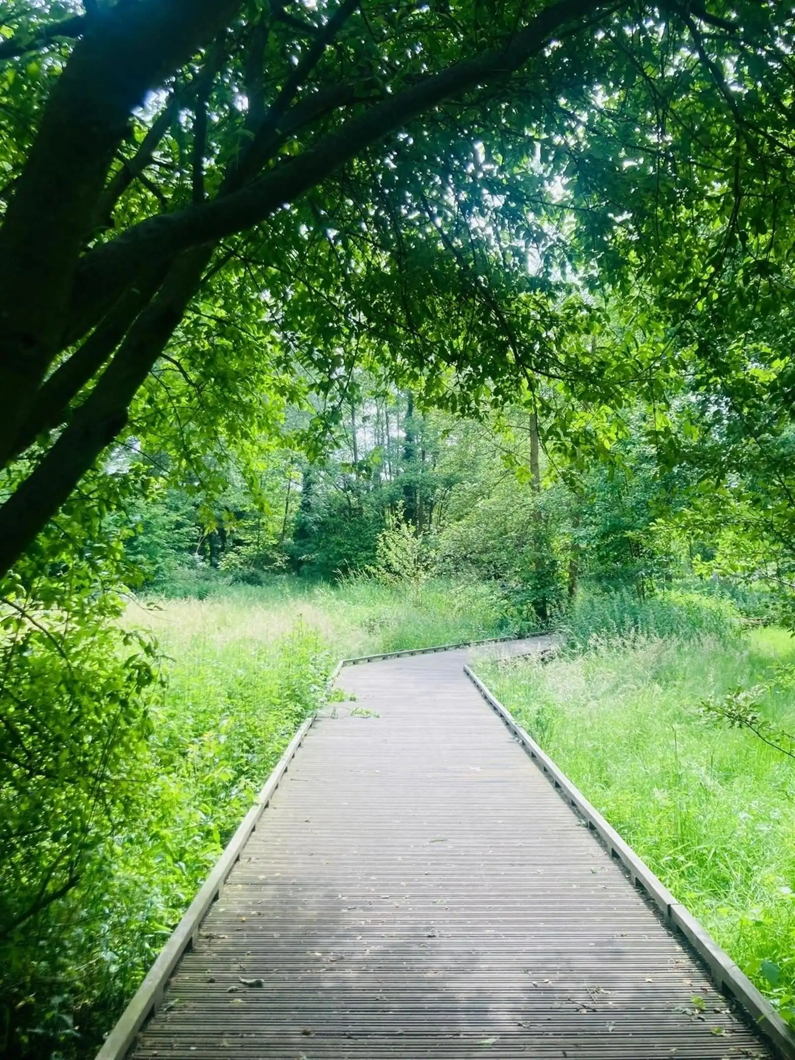 Tuinresidenties  Mariaburg Park De Bist foto 8