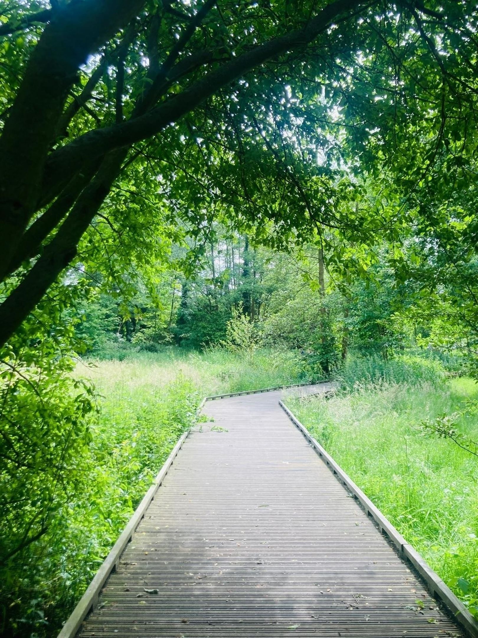 Tuinresidenties  Mariaburg Park De Bist foto 8