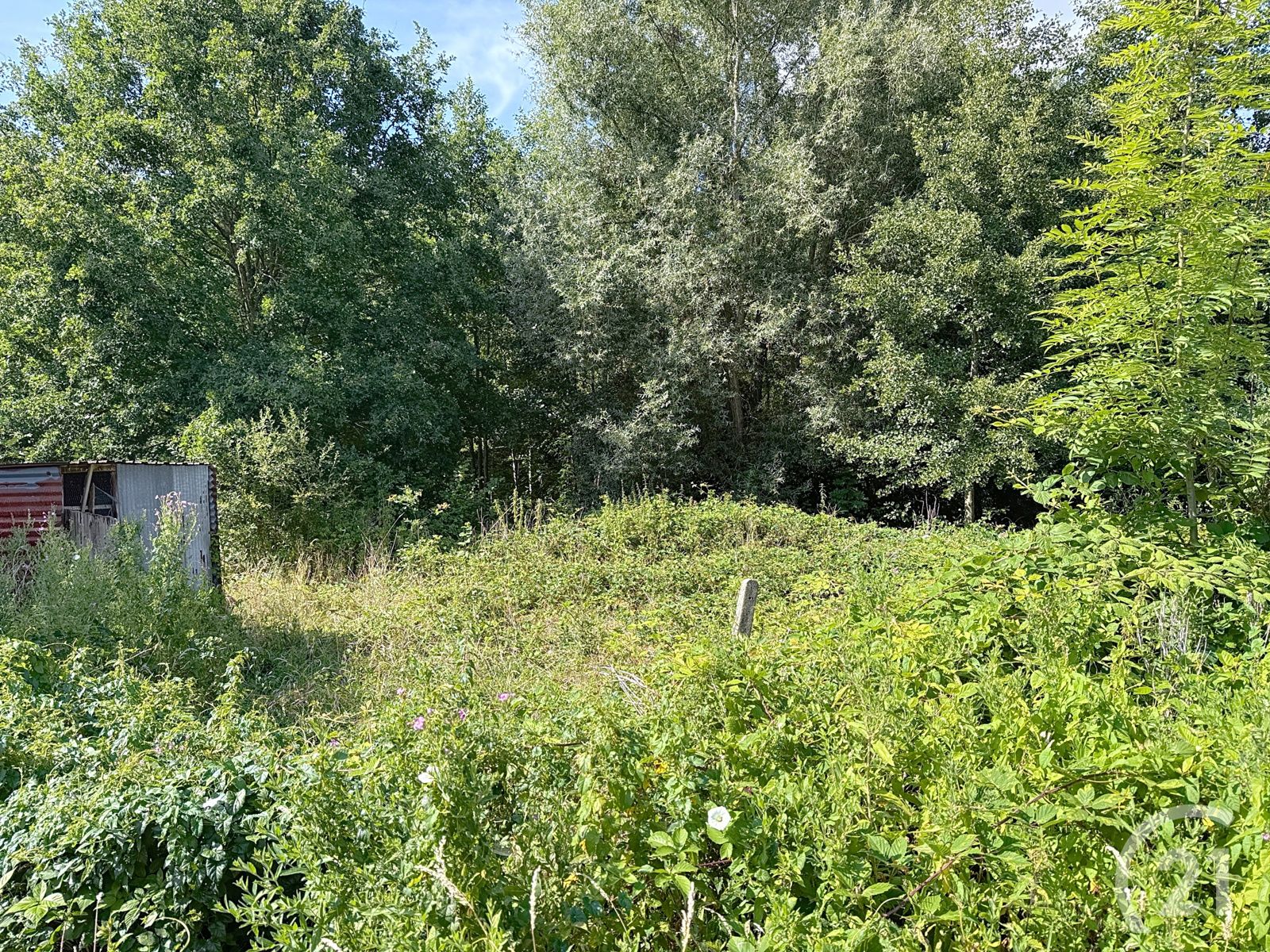 Huis te koop op een unieke ligging in Aarschot/Rillaar! foto 24