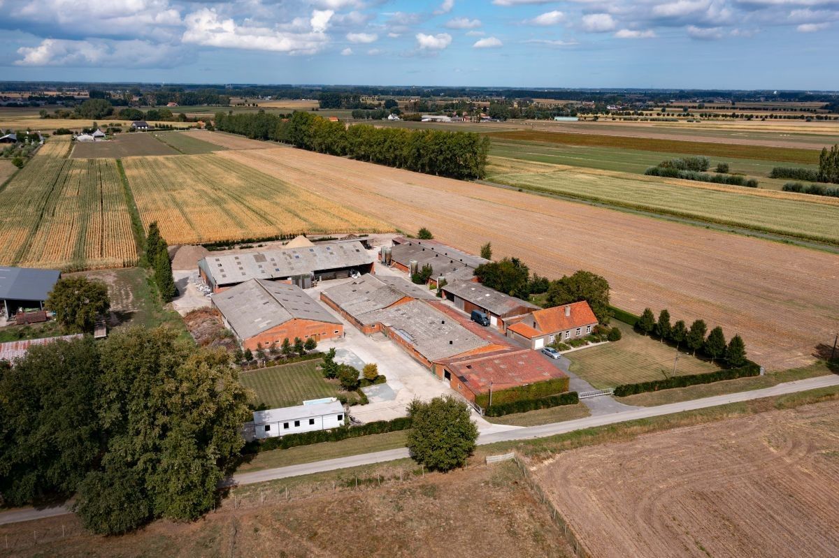 Hoofdfoto van de publicatie: Hoeve op 4,13 ha te koop te Kaprijke