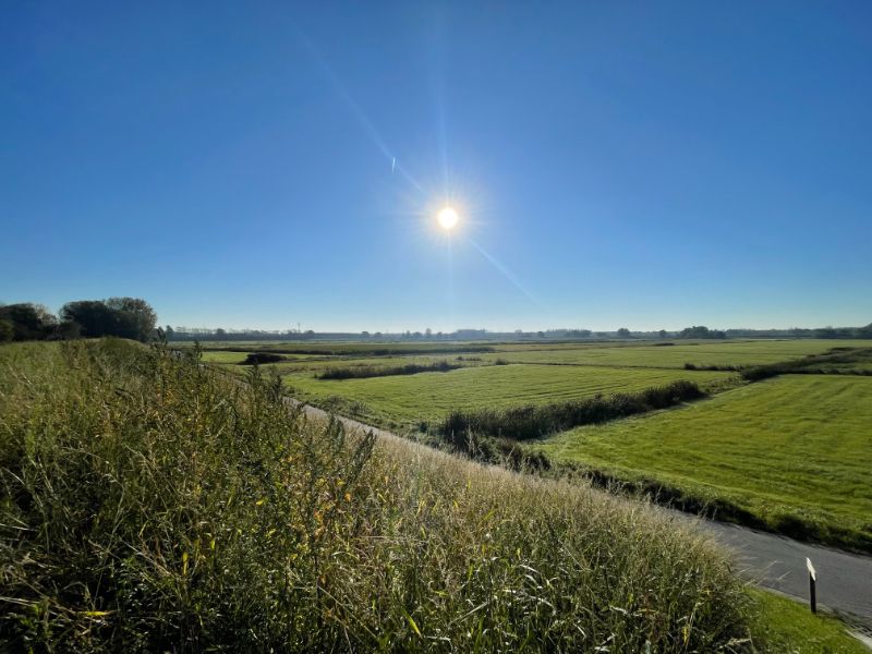 Charmante woning in het centrum van Tielrode – Rustig gelegen, omringd door natuur! foto 25