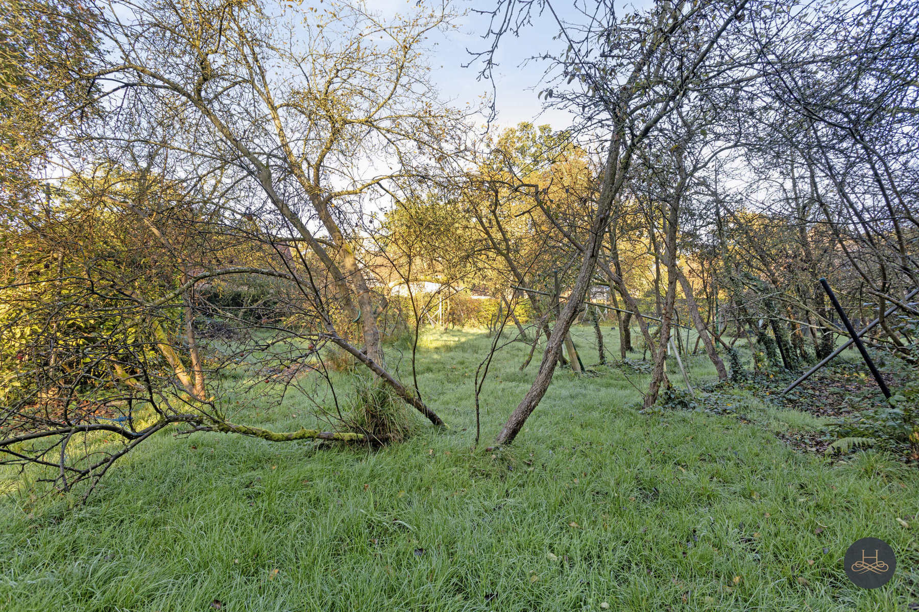 Bouwgrond gelegen in groene oase van rust foto 3