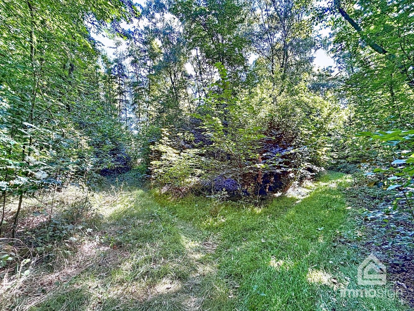 Uniek stuk grond van 9.050 m² in Grote-Brogel/Peer! foto 5