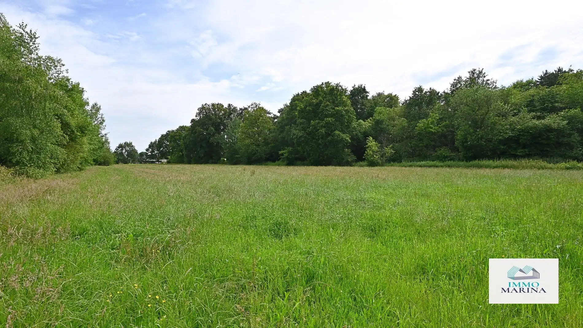 Landbouwgrond / paardenweide te koop te Baal foto 6