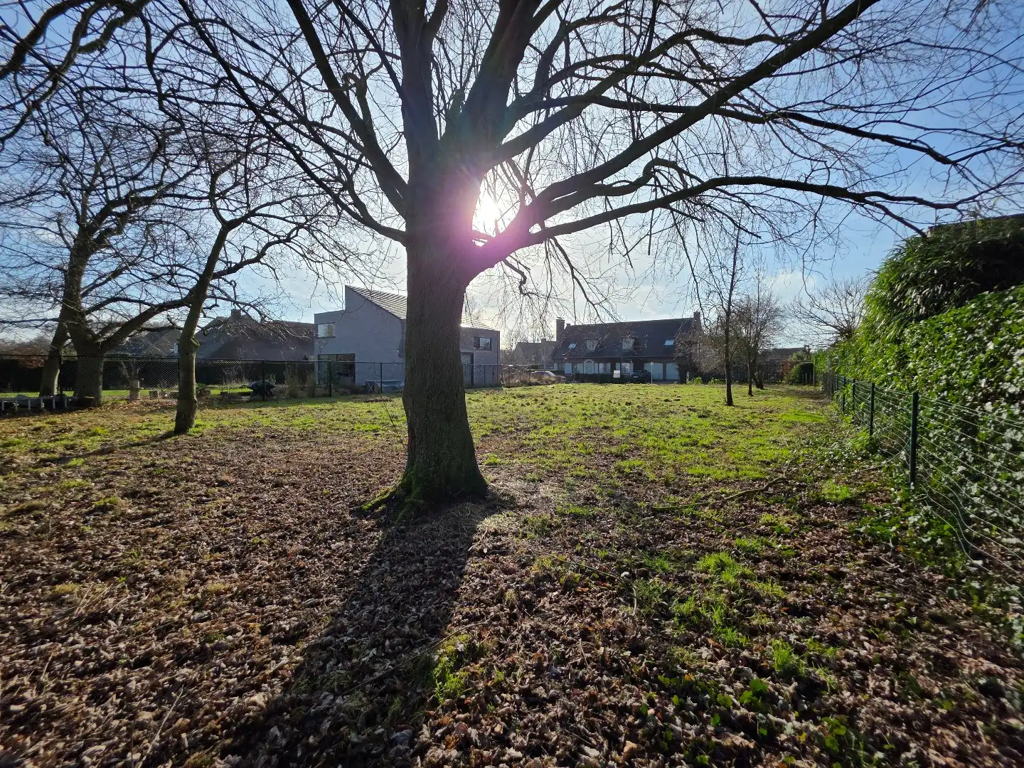 Mooie bouwgrond van 800m² in de Pius X wijk foto 7