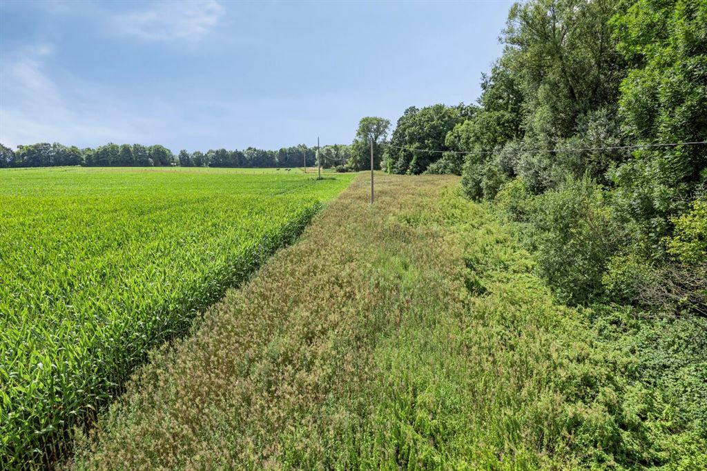 Op te frissen vakantiewoning te Bekkevoort!  foto 16