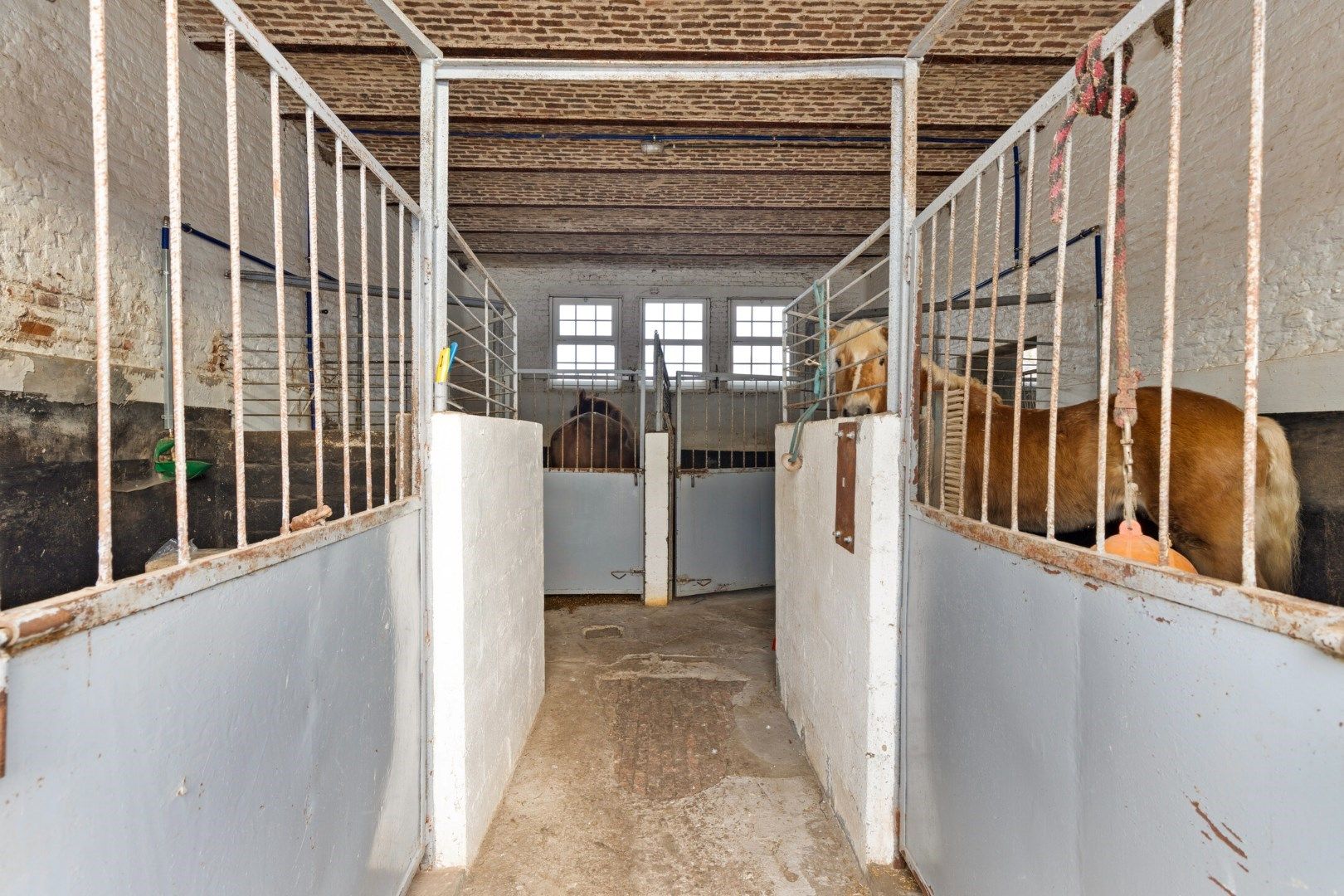 Te koop: Charmante boerderij met paardenstallen van 1ha op toplocatie in Boutersem - bewoonbare opp. 158 m² (uitbreiding mogelijk)  foto 21