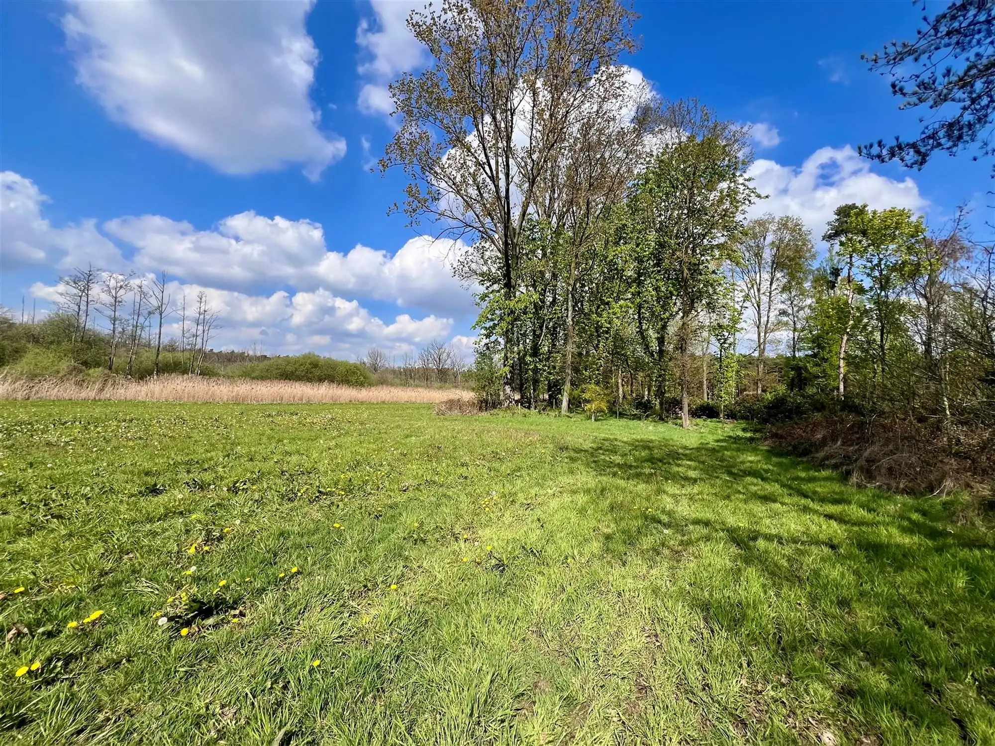 Agrarisch perceel van 8.260 m,  groene en rustige omgeving  foto 6
