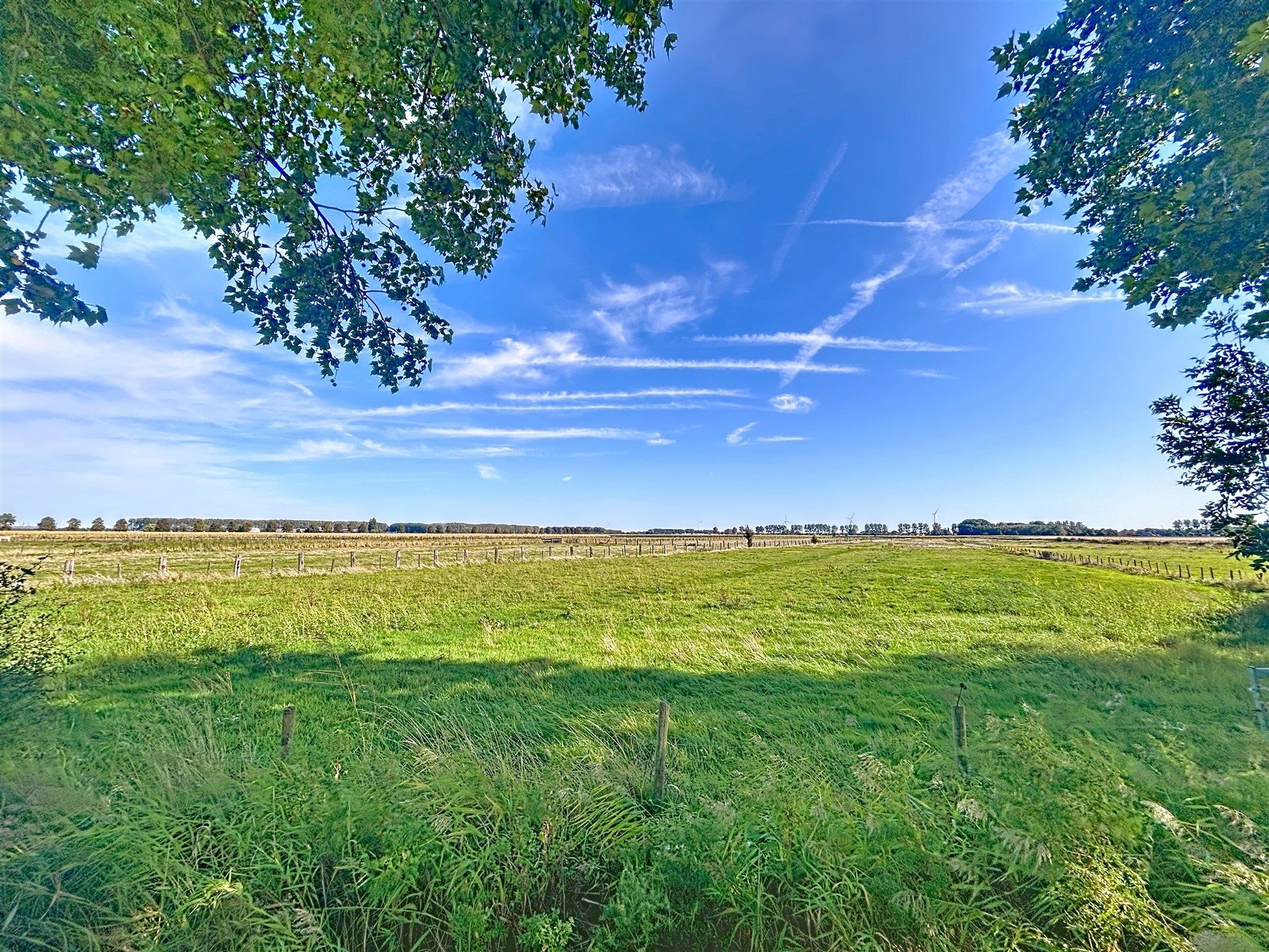Recente energiezuinige (A-label) woning met weids zicht op natuur foto 26
