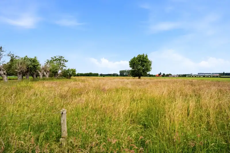 Hoeve foto 8