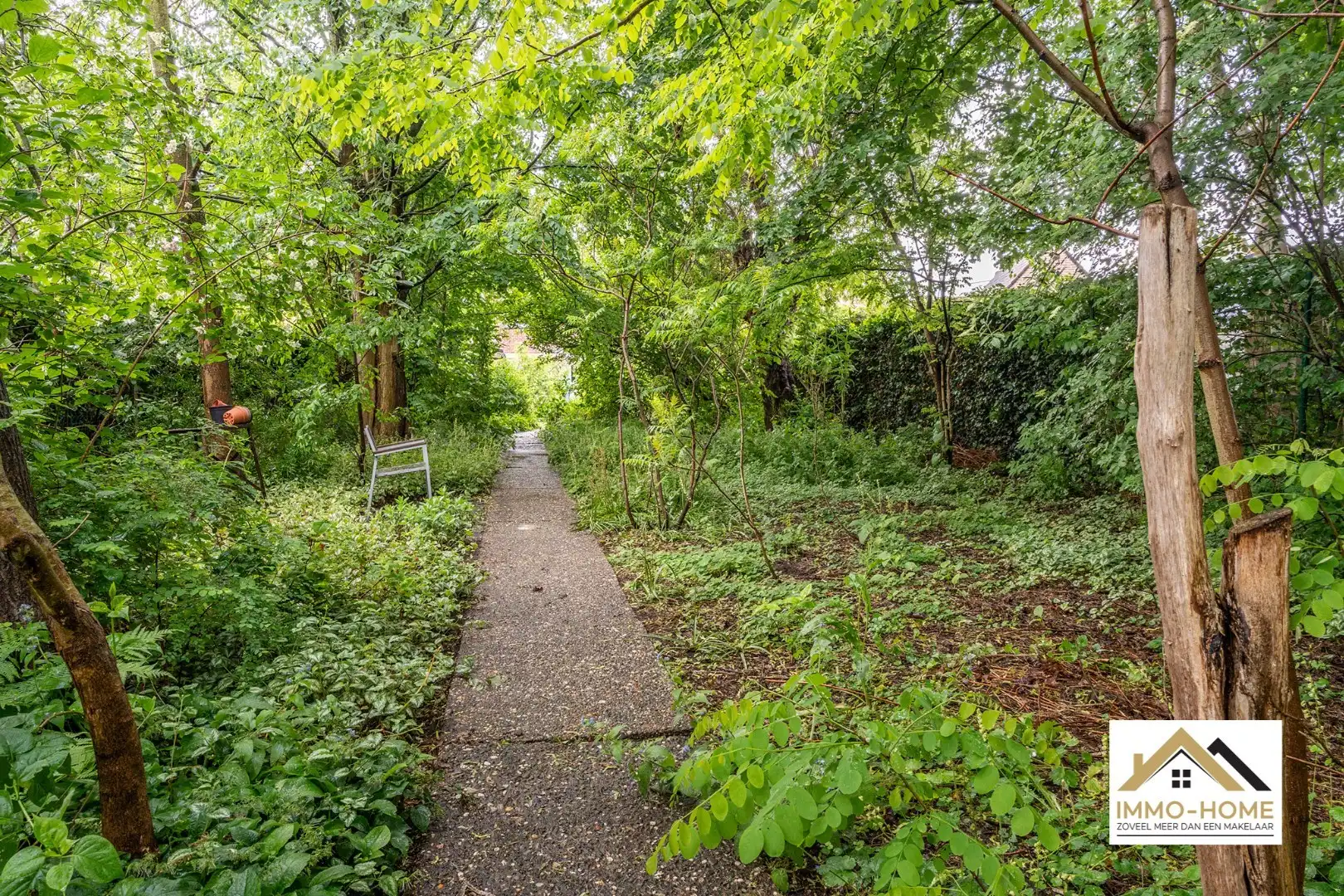 Instapklare woning met ruime tuin op topligging  foto 24
