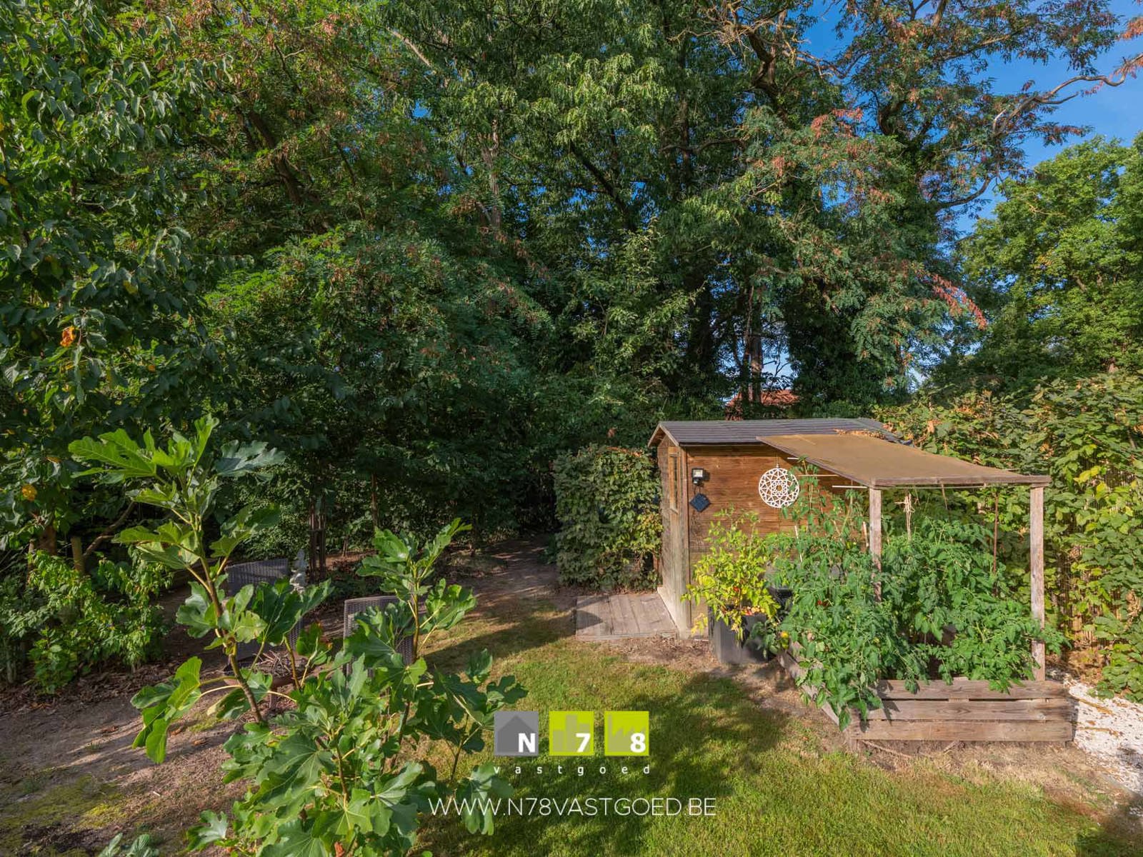 Huis te koop foto 38