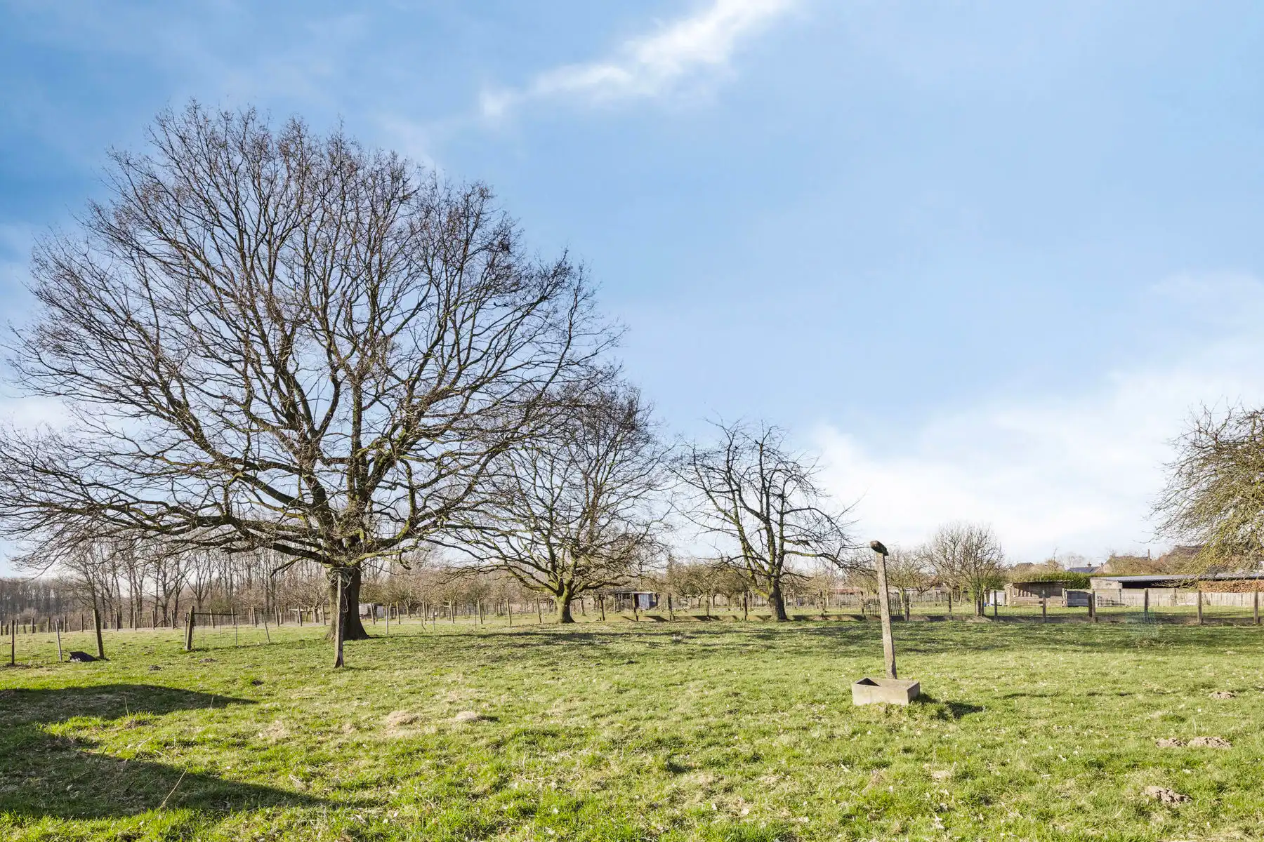 Grond te koop Berenhoek 8 - 9450 Haaltert