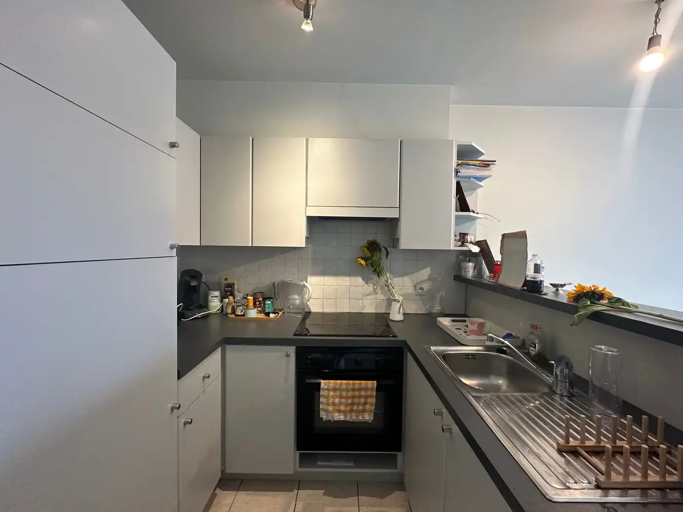 RESIDENTIE DISTELVINK foto 5